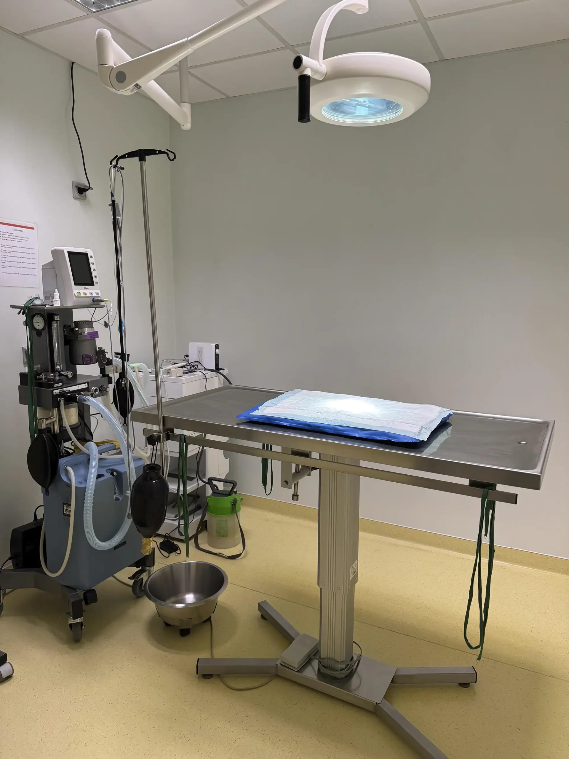 Salle de chirurgie de la clinique vétérinaire Taupin Haferstroh