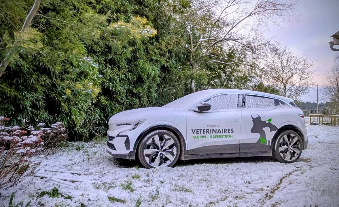 Clinique Vétérinaires Taupin et Haferstroh