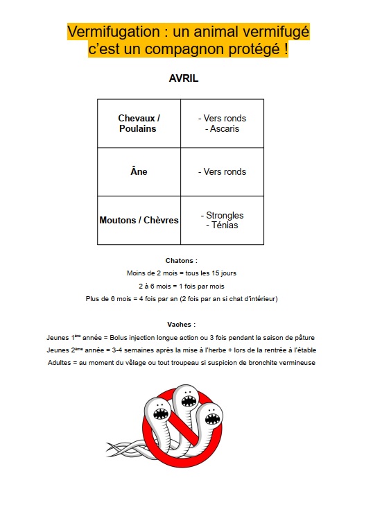 Clinique Vétérinaires Taupin et Haferstroh